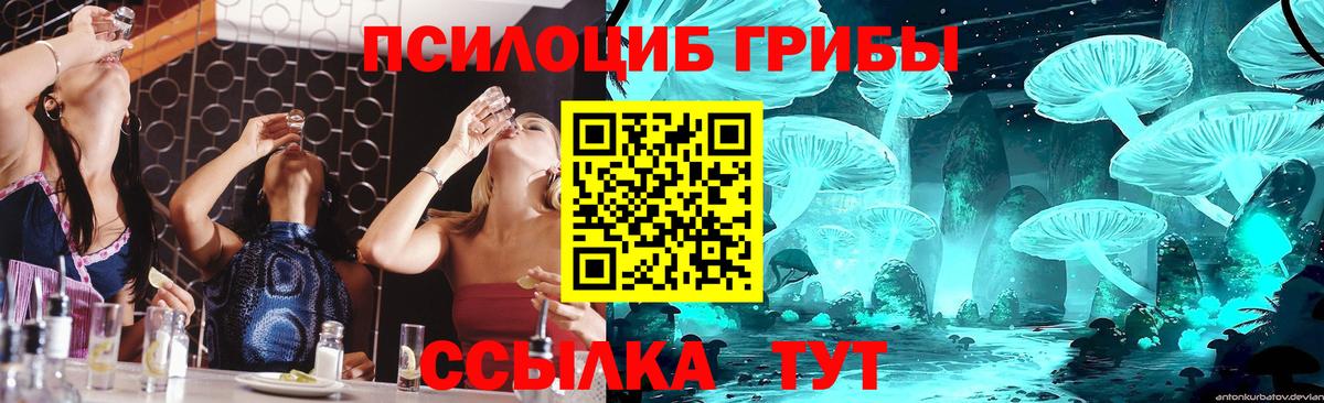 сколько стоит  Псилоцибиновые грибы MAGIC MUSHROOMS  Вход с VPN  Рассказово 