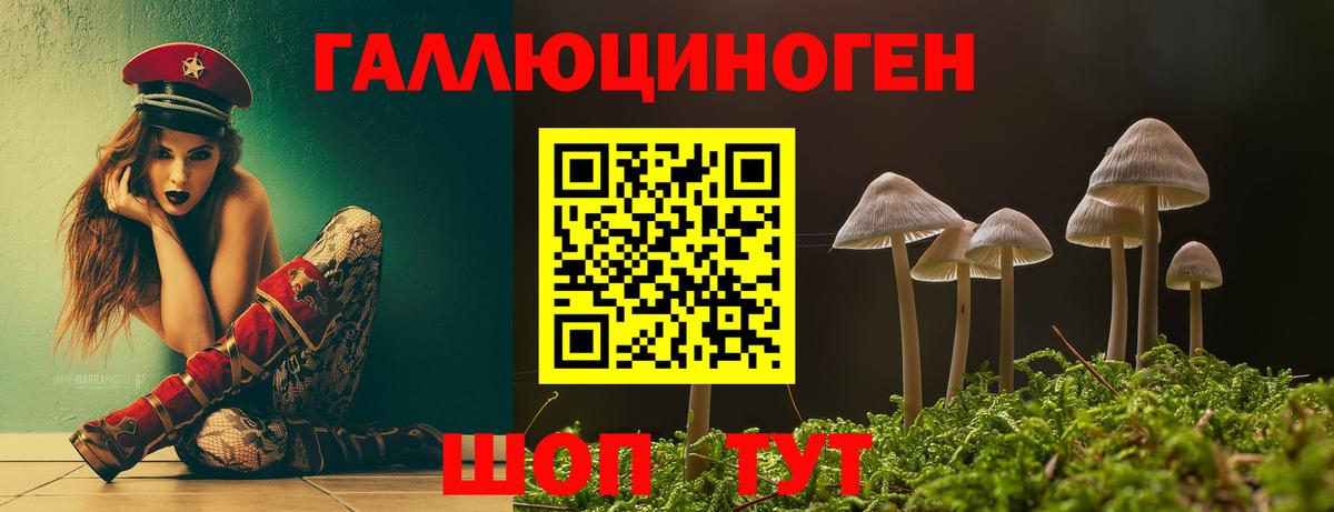Псилоцибиновые грибы Psilocybine cubensis Рассказово